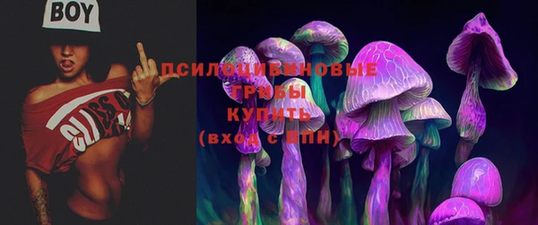 кокаин премиум Алексеевка