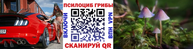 Купить  Билибино  Галлюциногенные грибы мицелий 